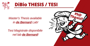 Collegamento a 