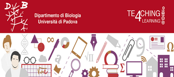 Collegamento a 