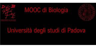Collegamento a 