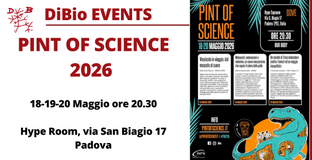 Collegamento a