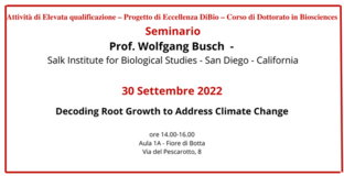 Collegamento a
