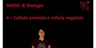 Collegamento a 