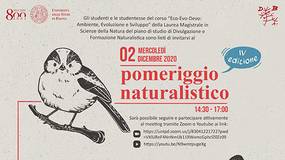 Collegamento a 