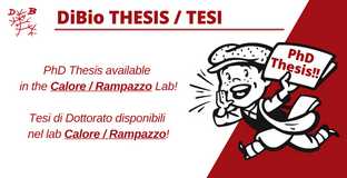 Collegamento a 