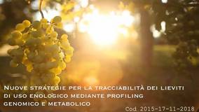 Collegamento a 