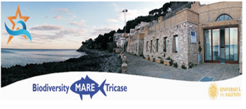 Collegamento a 