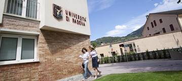Collegamento a