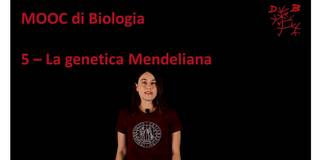 Collegamento a 