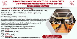 Collegamento a 