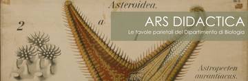 Collegamento a 