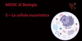Collegamento a 