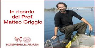 Collegamento a 