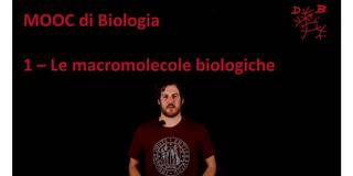 Collegamento a 