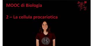 Collegamento a 