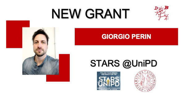 Collegamento a 