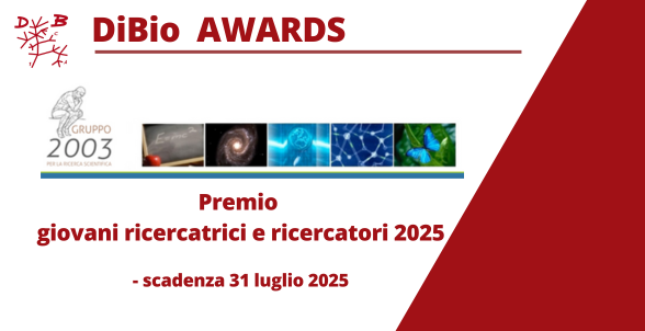 Collegamento a
