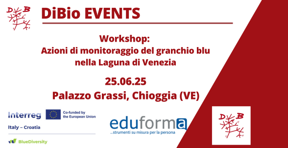 Collegamento a 