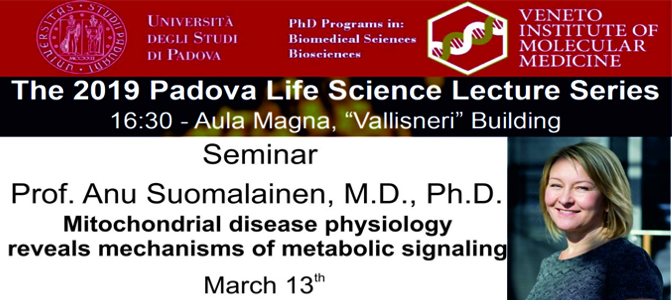 Collegamento a Seminar