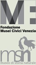 logo Museo di Storia Naturale di Venezia